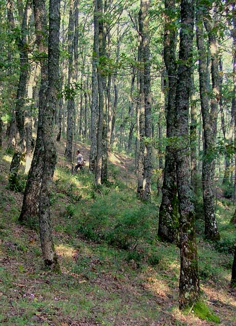 Colori della natura
